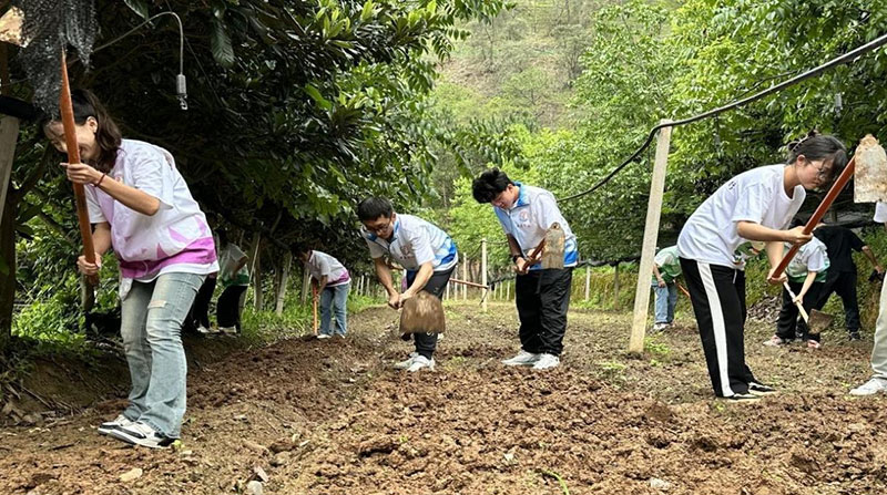 师生们在田间地头参加劳动