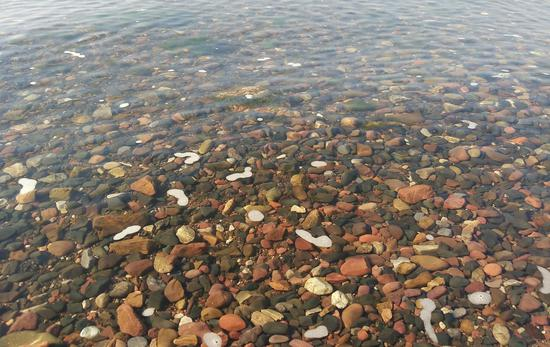 400余名大学生在玉溪抚仙湖共同倡导文明旅游